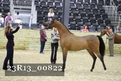23R13_00822 thumbnail