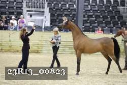 23R13_00823 thumbnail