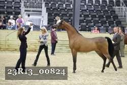 23R13_00824 thumbnail