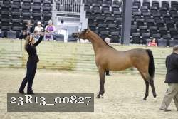 23R13_00827 thumbnail