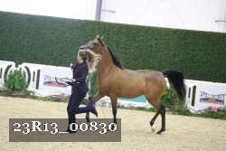 23R13_00830 thumbnail