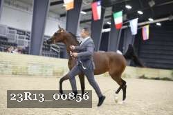23R13_00856 thumbnail