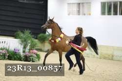 23R13_00857 thumbnail