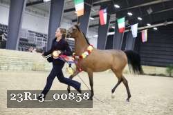 23R13_00858 thumbnail