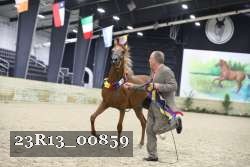 23R13_00859 thumbnail
