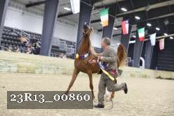 23R13_00860 thumbnail