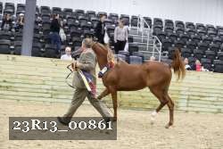 23R13_00861 thumbnail