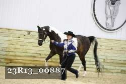 23R13_00887 thumbnail