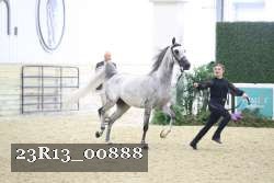 23R13_00888 thumbnail