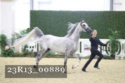 23R13_00889 thumbnail