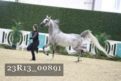 23R13_00891 thumbnail