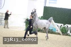 23R13_00892 thumbnail