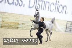 23R13_00893 thumbnail