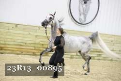 23R13_00895 thumbnail