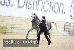 23R13_00896 thumbnail