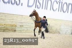 23R13_00897 thumbnail