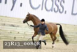 23R13_00898 thumbnail