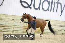 23R13_00899 thumbnail