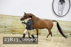 23R13_00900 thumbnail