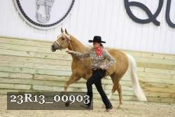 23R13_00903 thumbnail