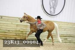 23R13_00904 thumbnail