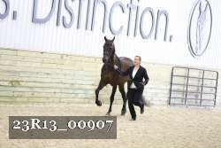 23R13_00907 thumbnail