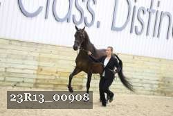 23R13_00908 thumbnail