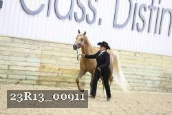 23R13_00911 thumbnail
