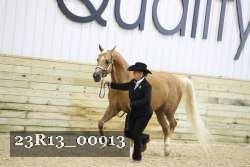 23R13_00913 thumbnail
