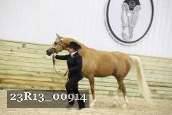 23R13_00914 thumbnail