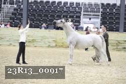 23R13_00917 thumbnail