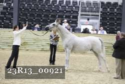 23R13_00921 thumbnail