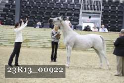 23R13_00922 thumbnail