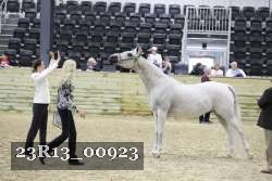 23R13_00923 thumbnail