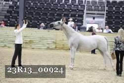23R13_00924 thumbnail