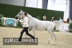 23R13_00925 thumbnail
