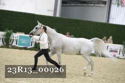 23R13_00926 thumbnail