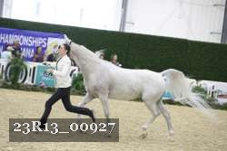 23R13_00927 thumbnail