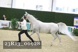 23R13_00928 thumbnail