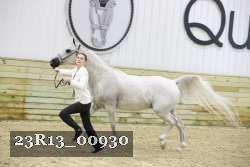 23R13_00930 thumbnail