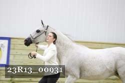 23R13_00931 thumbnail
