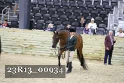 23R13_00934 thumbnail