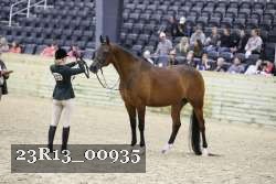 23R13_00935 thumbnail