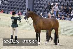 23R13_00937 thumbnail