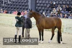 23R13_00938 thumbnail