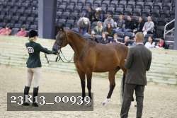 23R13_00939 thumbnail