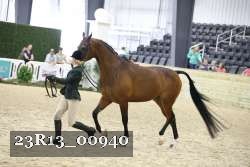 23R13_00940 thumbnail