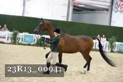 23R13_00941 thumbnail