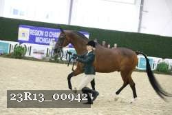 23R13_00942 thumbnail