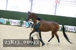 23R13_00943 thumbnail